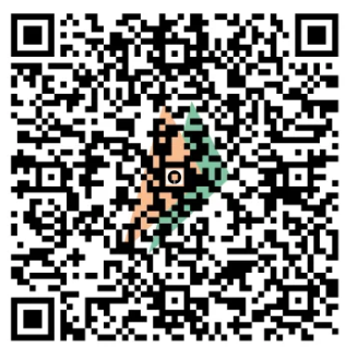 Sivakasi Enterprises UPI QR Code
