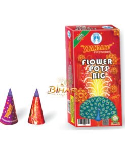 Flower Pots Big