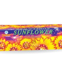 Sun Flower
